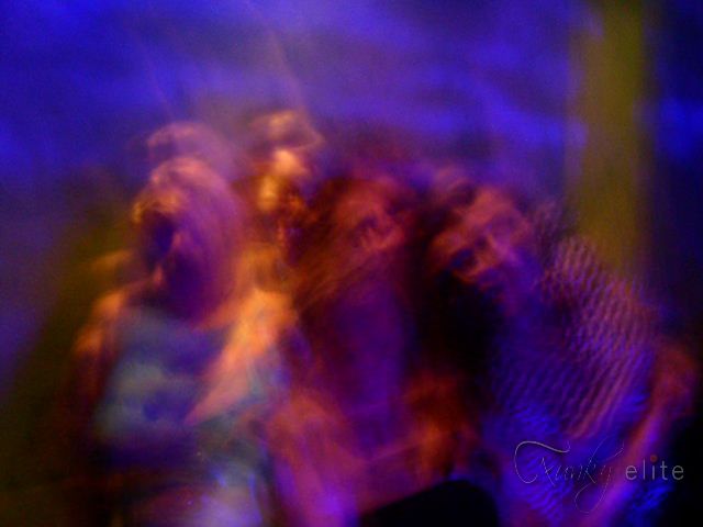 Trap archive photograph 20
